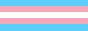 Trans style